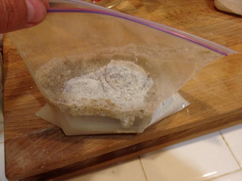 sourdough starter in ziploc bag with flour