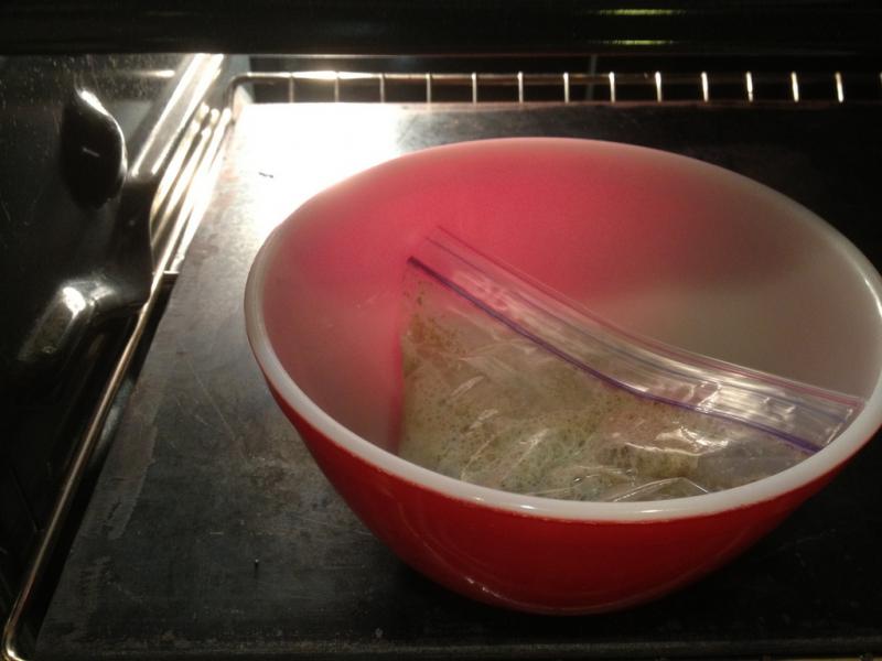 starter ziploc bag in ceramic bowl in oven with light on